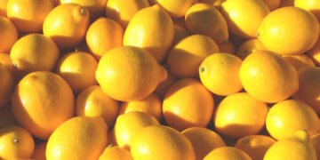 a lot of lemon